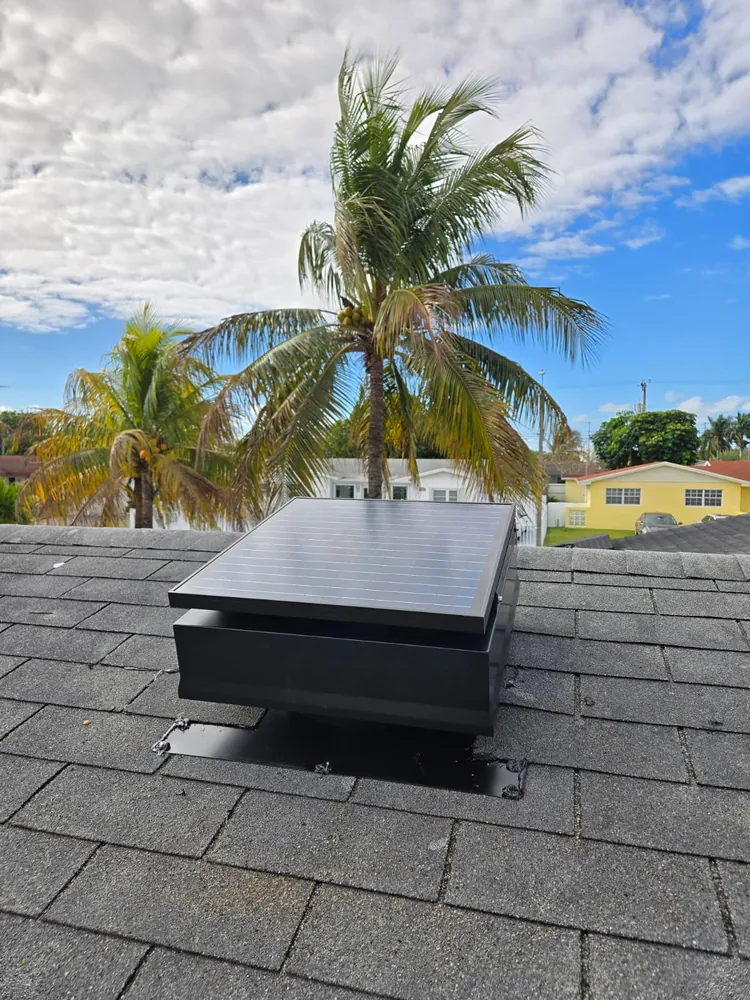 Solar attic fan on a grey shingle roof with palm trees behind